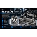 EGR Valfi