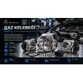 Gaz Kelebeği
