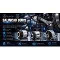Salıncak Burcu